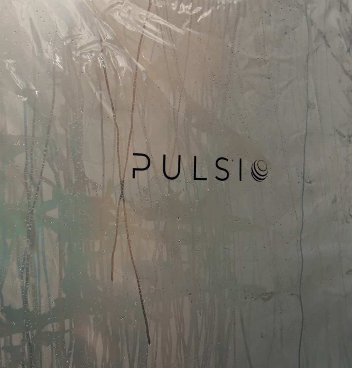 Pulsio Sauna Pod gallery 1