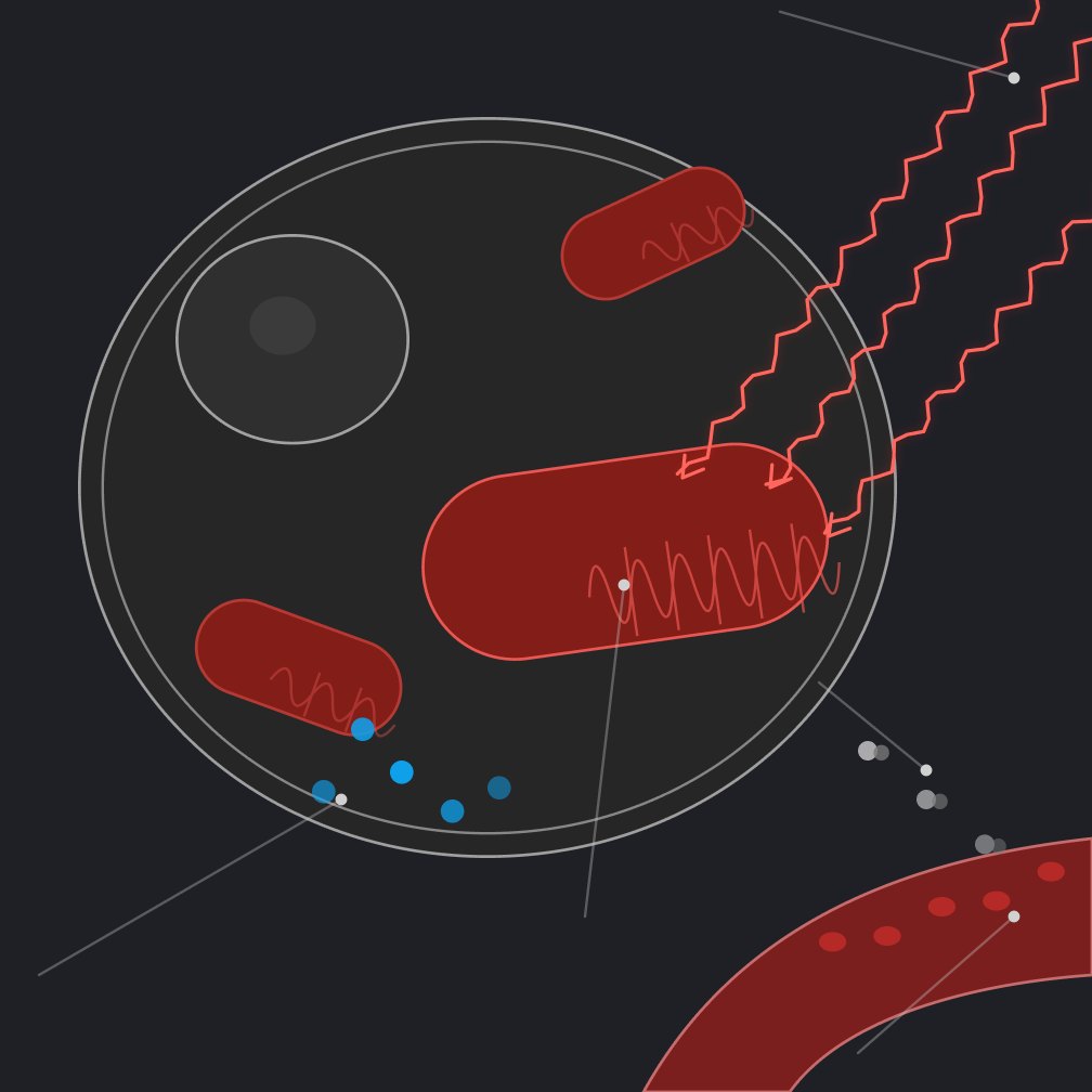 A cell with red light reaching its mitochondria, energy (ATP) being made, and nitric oxide moving into a nearby blood vessel.